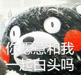 中国巴铁上路外国人迷之激动手机新浪网