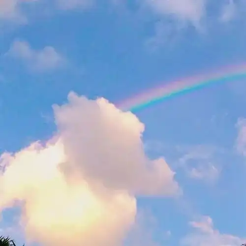 测试一个超长简介的文章