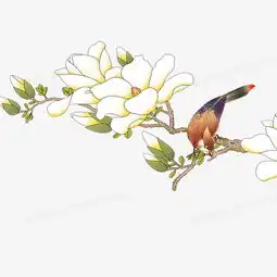 花鸟图png图片素材免费下载png格式14171417像素熊猫办公