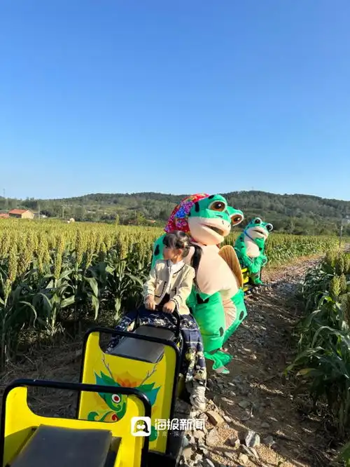 美好生活度假日照驻龙山风景区在高粱森林里,享受秋风的味道