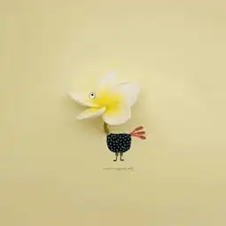 简单又有创意,等你来学