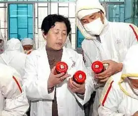 81600亿马云的钱,2亿100陶华碧的钱