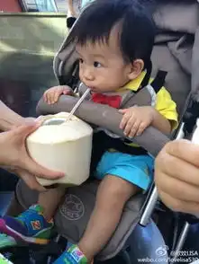 陈浩民一家四口出游女儿美艳儿子呆萌组图