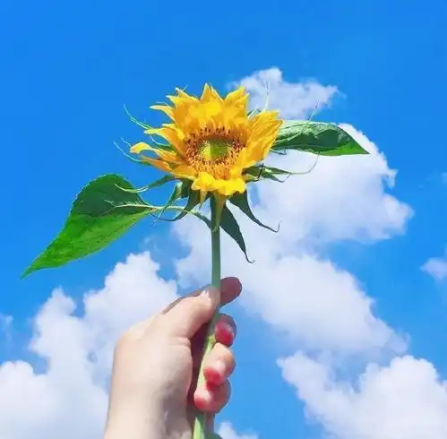 提醒自己慢慢变好的句子,句句阳光正能量深度好文