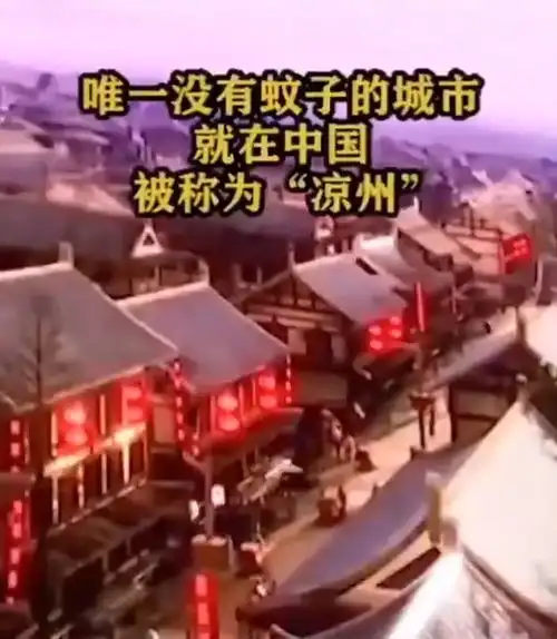 奇闻奇闻异录奇闻趣事奇闻异事