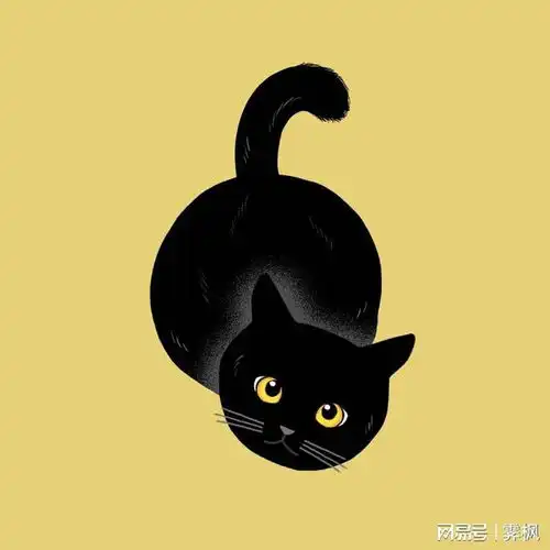 胖猫猫壁纸和头像
