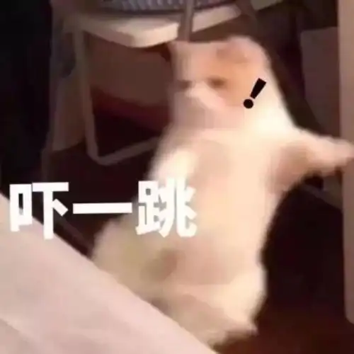 空无一人的隧道特斯拉感应出公交车当事人持续10多分钟太恐怖了