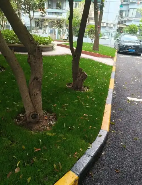 测试一个超长简介的文章