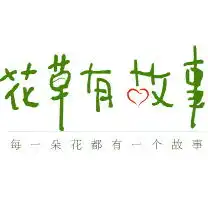 早安,9张蓝色梦幻绣球花高清手机屏保壁纸分享