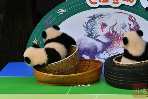 一年级新生报道,已准备好出道成都大熊猫基地今天萌娃集体亮相