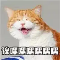 毕业收花怎么处理手把手教你鲜花长生诀