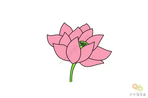 荷花简笔画