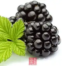受营养师青睐的滋养品