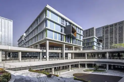 毕业季始于树下的青春记忆宁波效实中学东部校区