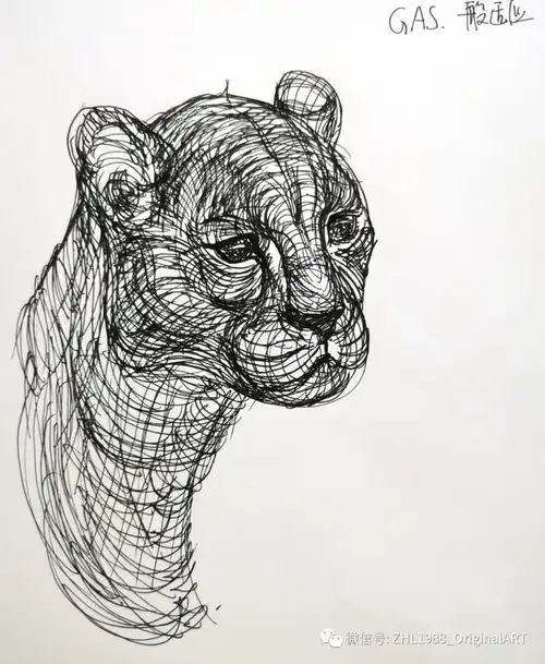 每日一画三画的动物头像系列