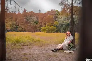 番禺童话树林,藏在大夫山人少免费拍大片