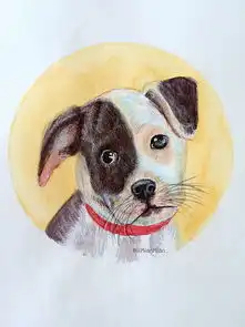 rmianmian插画水彩手绘狗狗头像画像宠物头像插画