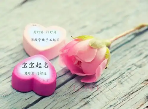 男孩聪明事业有成的名字