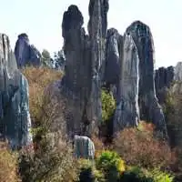石林头像图片大全微信头像图片大全