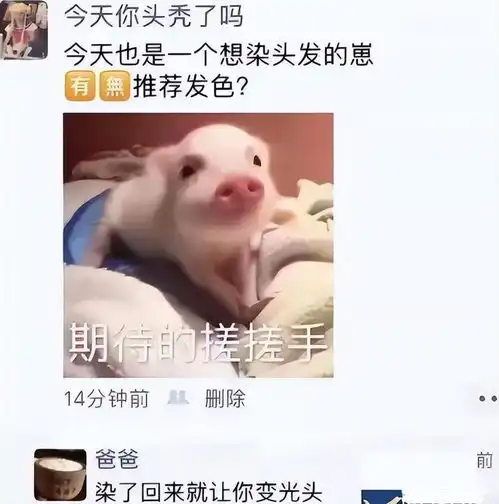 你想要几个爸大学生发朋友圈忘屏蔽家长,亲爹看后霸气回怼