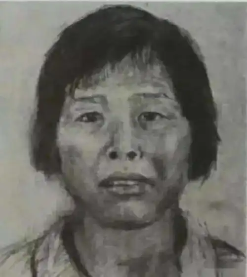 人贩子梅姨是真实存在的,之前画像都不像