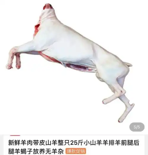 这届淘宝怎么还是这么沙雕啊哈哈哈哈哈哈哈哈