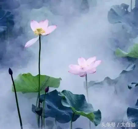 清凉避暑好去处是怎么回事,关于清凉避暑好去处的诗句的新消息多特软件资讯