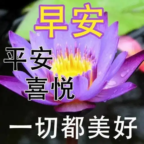 早上好祝福精选语录大全,爱笑的人运气不会差,早安