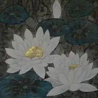 测试一个超长简介的文章