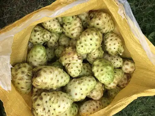 闻之恶心,食之欲呕,又丑又臭的水果,咋就被炒成了神果