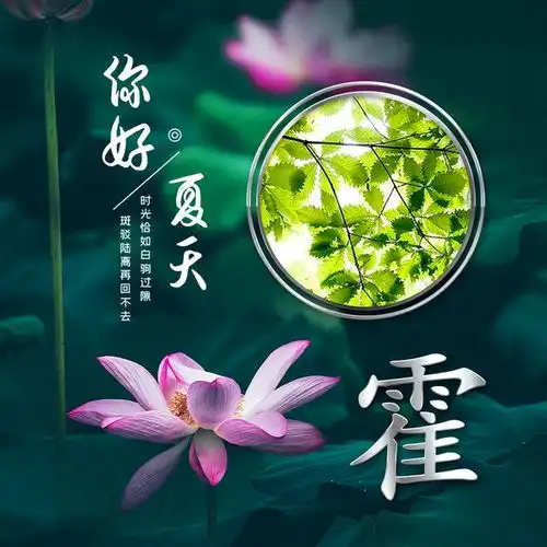 六月荷花满塘,你该换张头像,12张唯美壁纸免费送给你