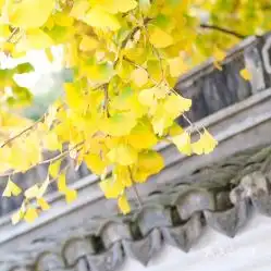 电话,地址,价格,营业时间