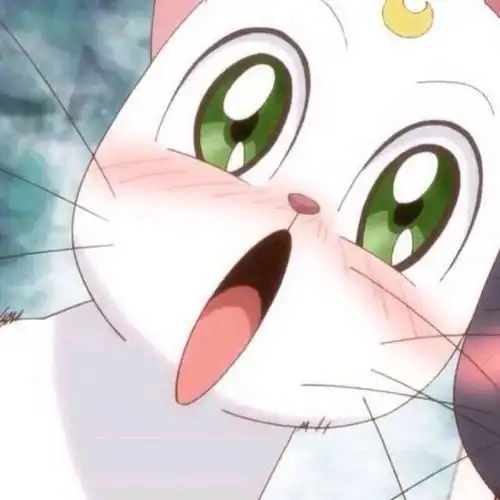 今日情头心有猛虎细嗅玫瑰