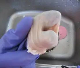 它是猪身上最好吃却又是最脏最难洗的器官,只需1分钟你也会洗它
