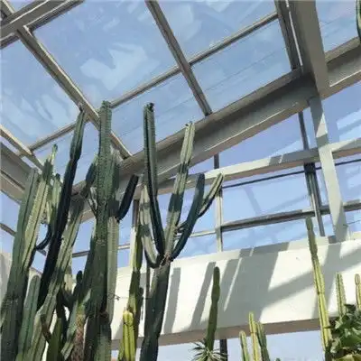 测试一个超长简介的文章