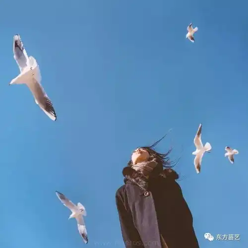 如果不坚持,到哪都是放弃