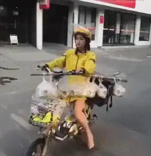 搞笑gif看这外卖数量,妹子也太拼了吧