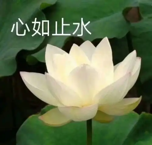 就降