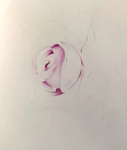彩铅手绘玫瑰花