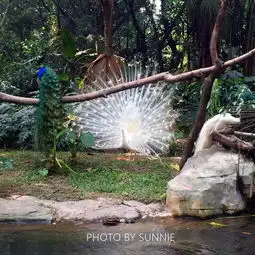 去广州吃个甜点看个动物