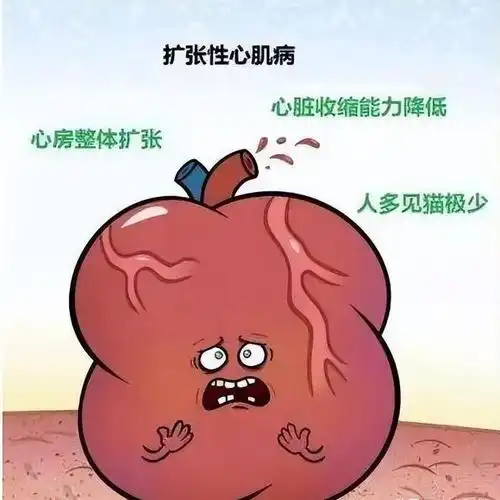 戴上国产人工心脏的王十七一天被分为3个8小时,再没坐过飞机