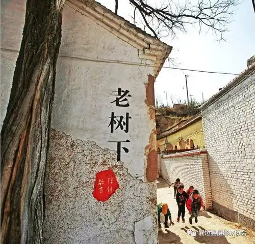 围观古镇下良多彩强计摄影获奖图片亮相