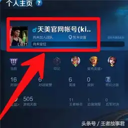 游戏王者荣耀贵族会有特权no只有他们才有
