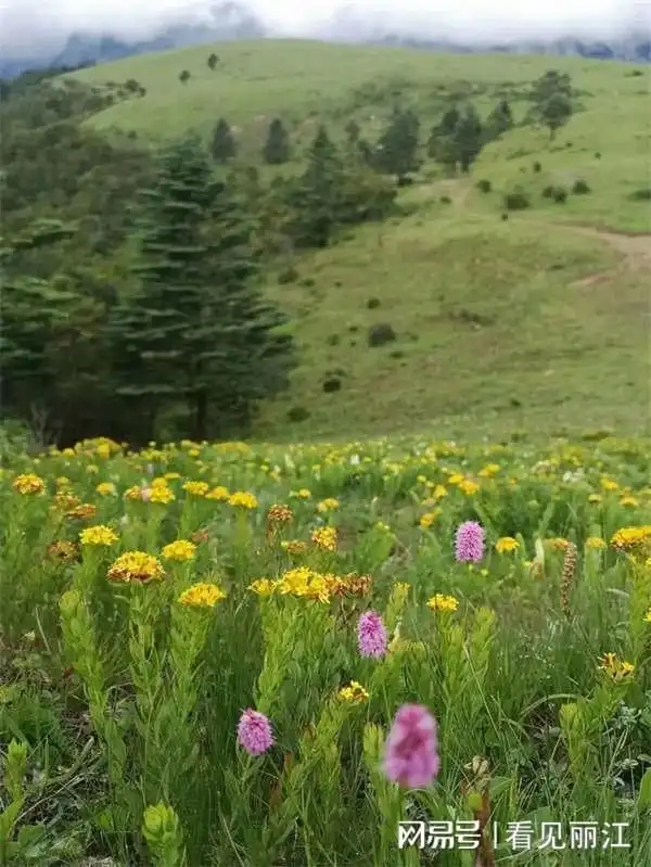 毕业旅行第一站玉龙雪山
