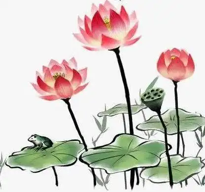 小满节气枇杷黄后杨梅紫,正是农家小满天
