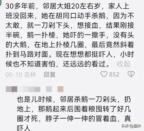 你从老一辈口中听过哪些奇闻异事网友分享,大千世界无奇不有