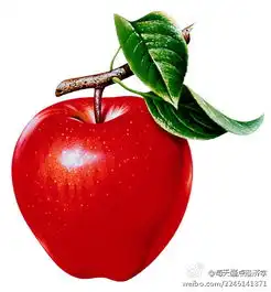 最有冲击力的颜色搭配有哪些