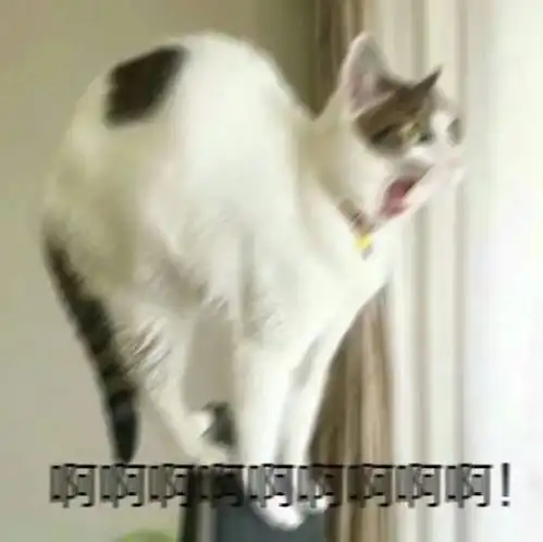 我终于终于终于上钻石了