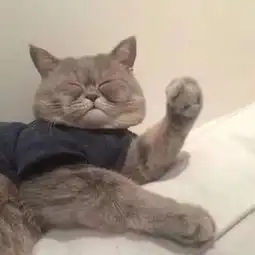 没错,我是一个莫得感情的美白机器