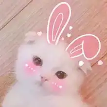 头像去哪儿都好有你就好